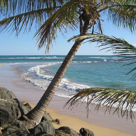 Comfortable And Affordable Deal Close To Beach And Rainforest Ріо-Гранде Екстер'єр фото