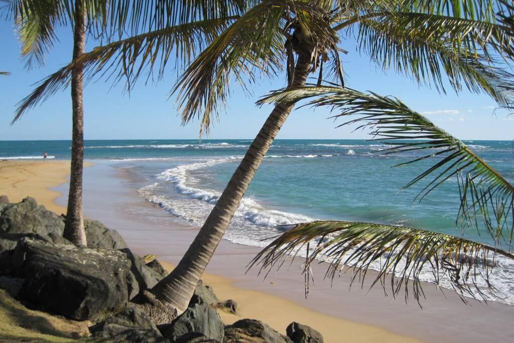 Comfortable And Affordable Deal Close To Beach And Rainforest Ріо-Гранде Екстер'єр фото